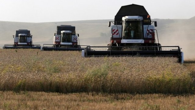 К. Костадинов: Зърнопроизводителите са заплашени от безконтролния внос от Украйна