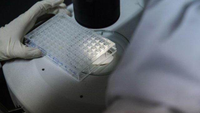 <p>
	<em>Снимка: Bloomberg</em></p>
