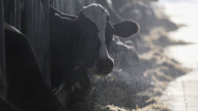 Снимка: Bloomberg L.P.