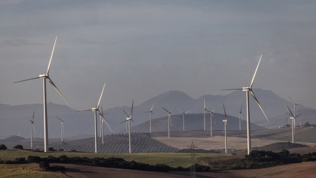 Снимка: Bloomberg L.P.