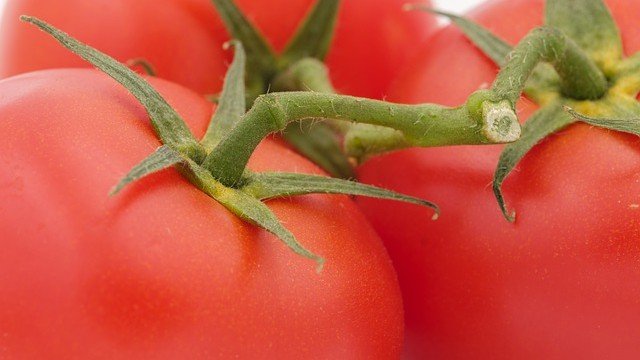 <p>
	<em>Снимка: Pixabay</em></p>
