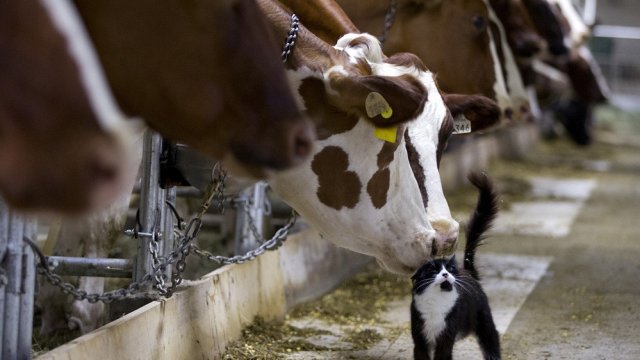 Снимка: Архив Ройтерс