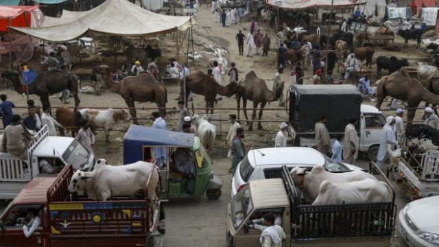 <p>
	<em>Снимка: Bloomberg</em></p>
