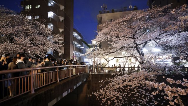 Снимка: Kiyoshi Ota/Bloomberg