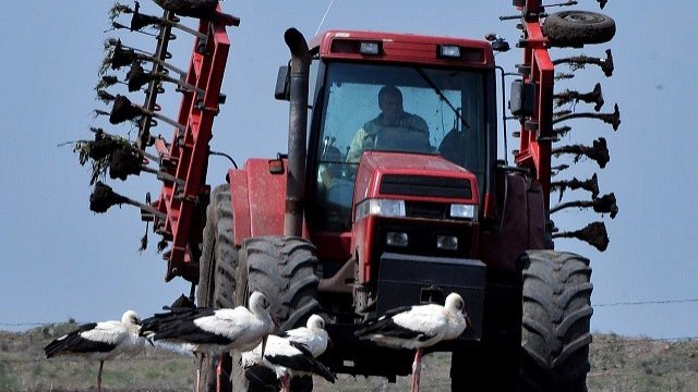 Започва вторият прием на проекти за инвестиции в земеделските стопанства  