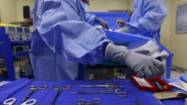 <p>
	<em>Снимка: Pixabay</em></p>
