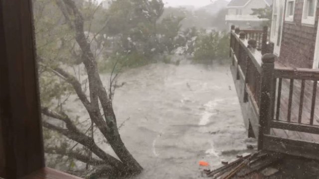 <p>
	<em>Снимка: Ройтерс</em></p>
