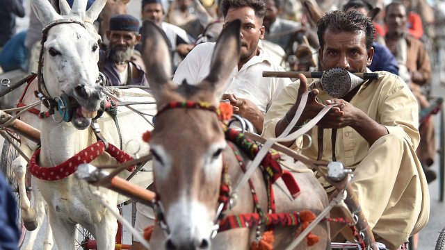 Снимка: EPA/SHAHZAIB AKBER