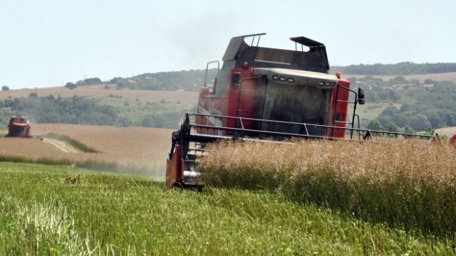 <p>
	<em>Снимка: БТА</em></p>
