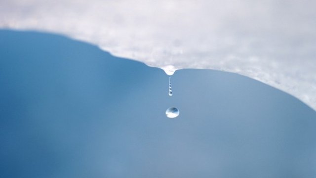 <p>
	Снимка: <em>Архив Ройтерс</em></p>
