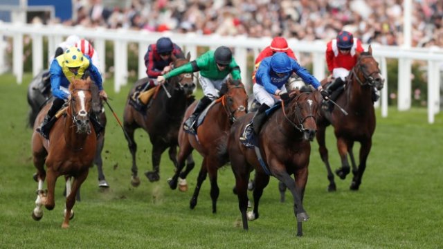 <p>
	<em>Източник: Roiters</em></p>
