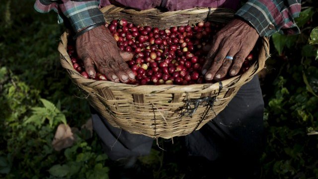 <p>
	<em>Снимка: Ройтерс</em></p>
