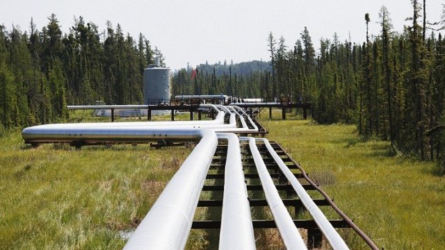 <p>
	Снимка: <em>архив Ройтерс</em></p>
