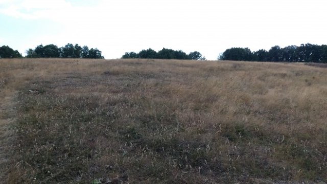 „Елана Агрокредит“ е финансирала сделки за 791 хил. лв. през август