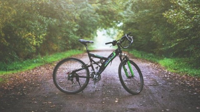 Снимка: Pixabay