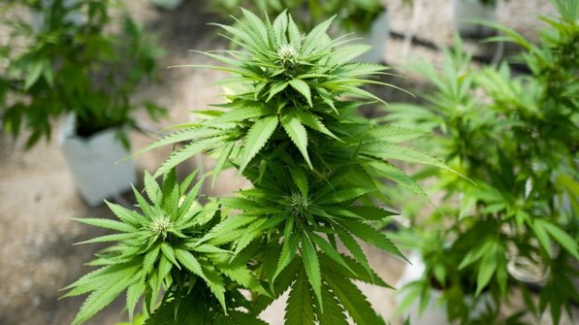 <p>
	<em>Снимка: Bloomberg LP</em></p>
