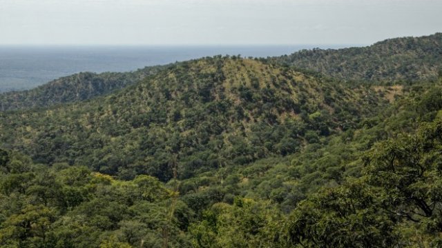 <p>
	<em>Снимка: Bloomberg</em></p>
