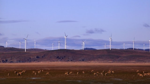 <p>
	<em>Снимка: Архив Ройтерс</em></p>
