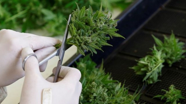 <p>
	<em>Снимка: Архив Ройтерс</em></p>
