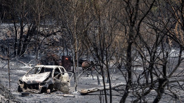 Снимка: James Breeden/Getty Images