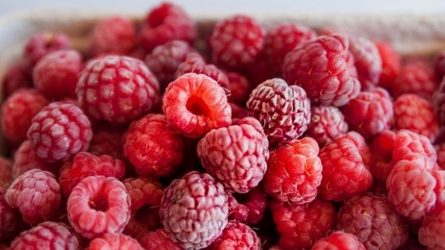 <p>
	<em>Снимка: Pixabay</em></p>
