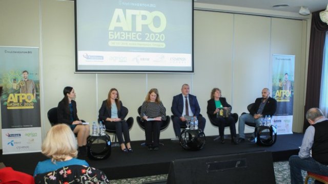 <p>
	<em>Снимка: Димитър Кьосемарлиев, Investor Media Group</em></p>
