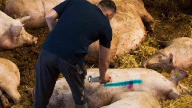 <p>
	<em>Снимка: Bloomberg LP</em></p>
