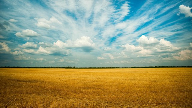 Снимка: Pexels