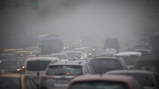 <p>
	<em>Снимка: Димитър Кьосемарлиев, Investor Media Group</em></p>
