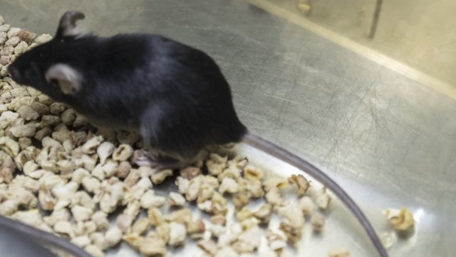 Снимка: Bloomberg