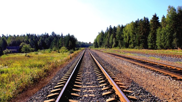 Снимка: Unsplash.com