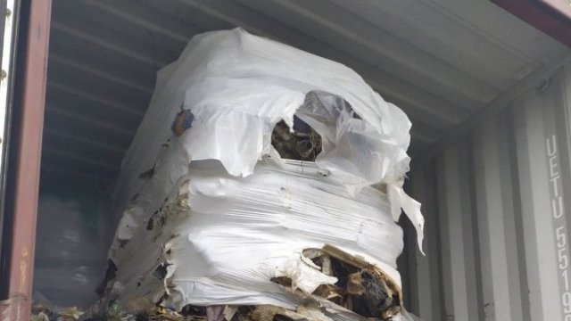 <p>
	<em>Снимка: БГНЕС</em></p>
