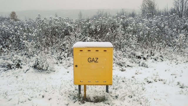 Снимка: Damian Lemański / Bloomberg