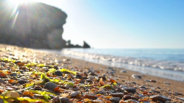 <p>
	<em>Снимка: Pixabay.com</em></p>
