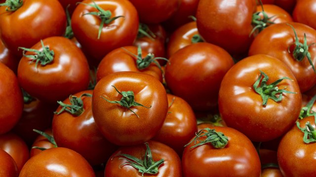 Снимка: FreePic