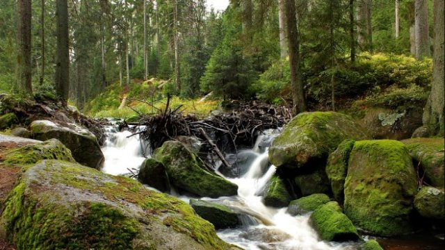 <p>
	<em>Снимка: Pixabay</em></p>
