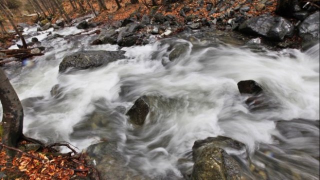 <p>
	<em>Снимка: Олег Попов, Investor Media Group</em></p>
