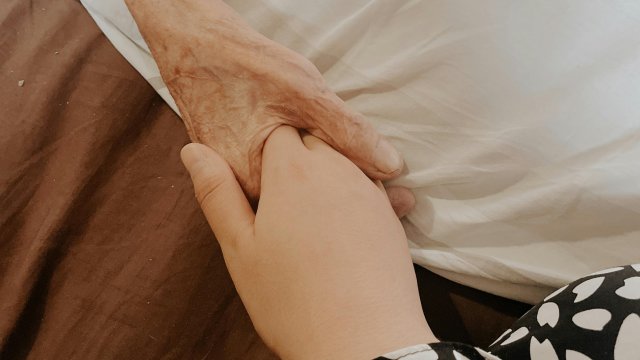 Снимка: Pexels