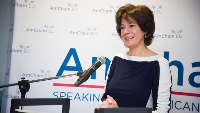 <p>
	<em>Снимка: AmCham EU Facebook Page</em></p>
