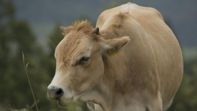 <p>
	<em>Снимка: Investor.bg</em></p>
