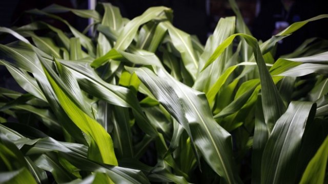 <p>
	<em>Снимка: Bloomberg LP</em></p>
