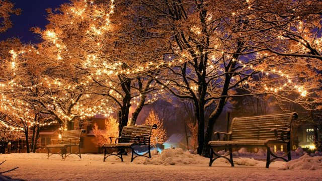 Снимка: Pixabay