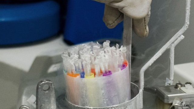 <p>
	<em>Снимка: Nathan Laine/Bloomberg</em></p>
