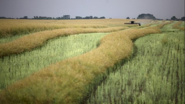 <p>
	<em>Снимка: Архив Ройтерс</em></p>
