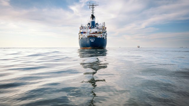  Карго кораб Maya S в Черно море чака да влезе в канала Сулина, речен канал, който осигурява достъп до река Дунав, от пристанището в Сулина, Румъния, в събота, 4 юни 2022 г.  Снимка: Andrei Pungovschi/Bloomberg