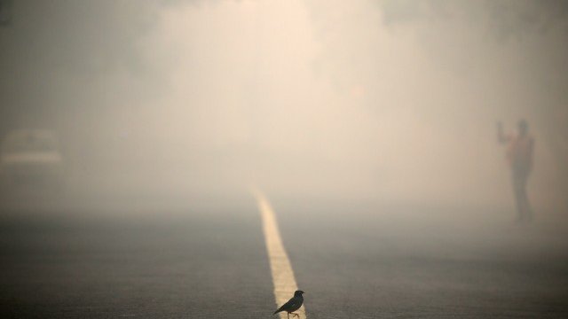 <p>
	<em>Снимка: Ройтерс</em></p>
