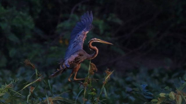 Кадър на деня за 13 февруари