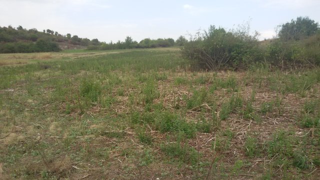 Растящите разходи за лихви намалиха печаблата на„Елана Агрокредит“ АД с 4%