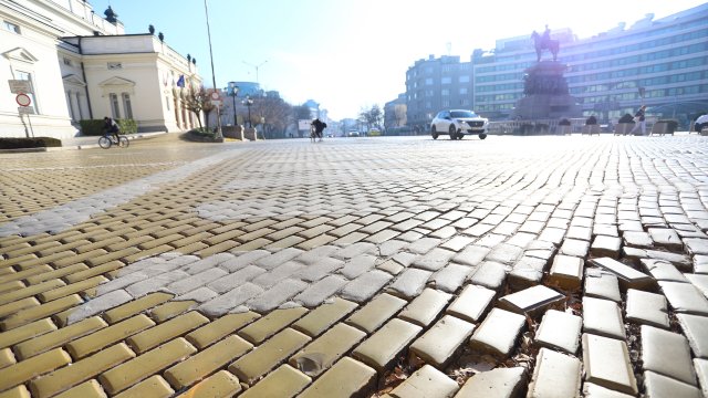 Снимка: Надежда Пеева, БГНЕС