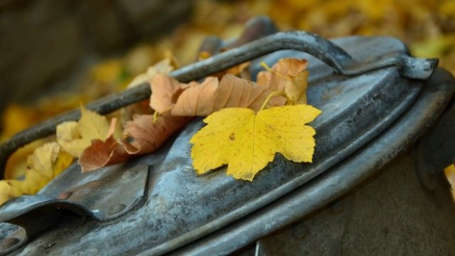 <p>
	<em>Снимка: Pixabay</em></p>
